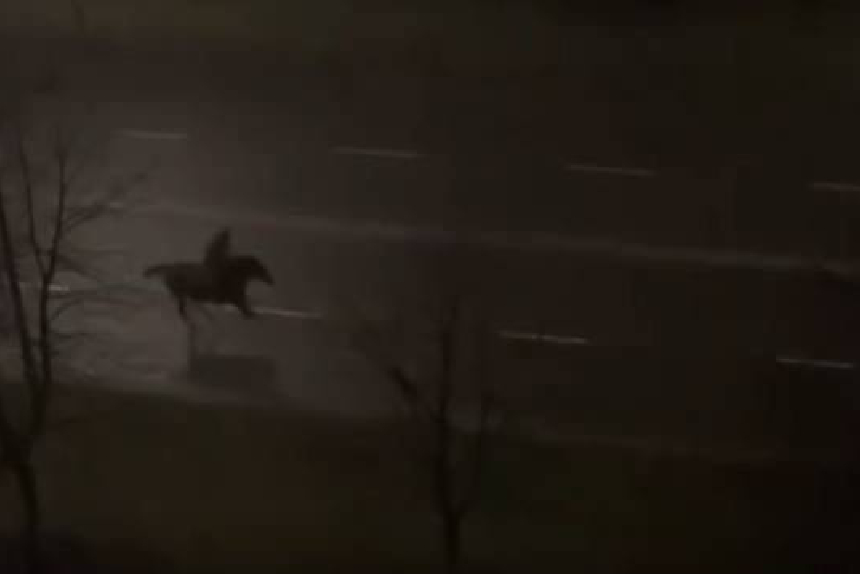 Погоня за вершником
