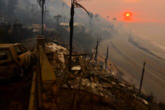 Лісові пожежі в Лос-Анджелесі забрали життя щонайменше 10 людей