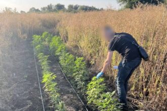 На Дніпропетровщині викрили злочинне угруповання з прибутком до 50 мільйонів гривень
