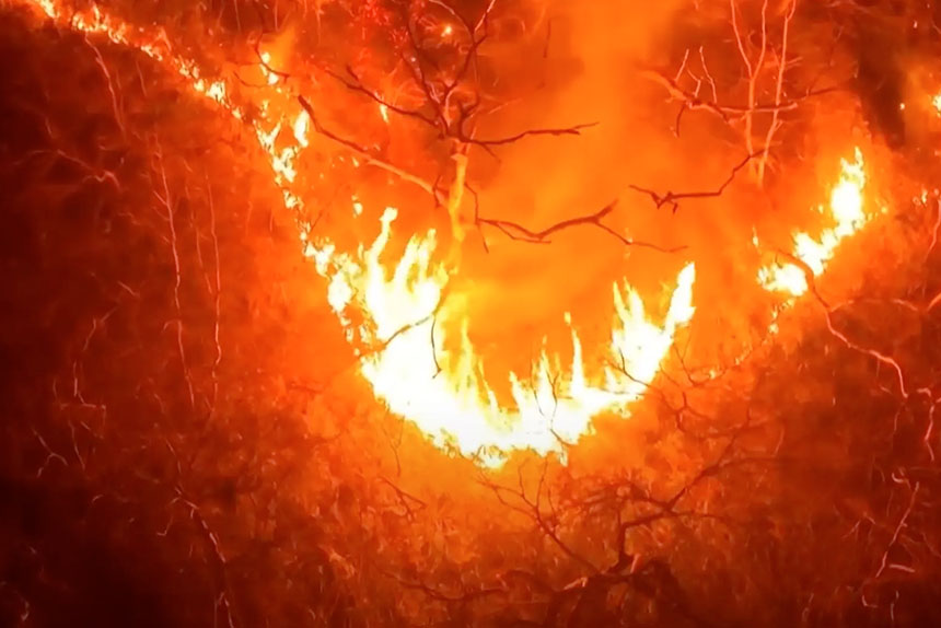 Масштабні лісові пожежі в Кореї тривають