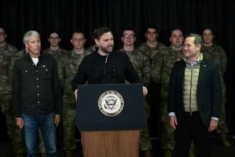 Венс звинуватив Данію в тому, що вона недостатньо захищає Гренландію