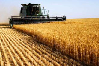 ЄС повертає обмеження на імпорт агропродукції з України через протест фермерів