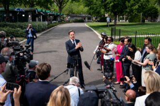 НАТО прагне спокійного саміту, але Трамп і Зеленський можуть його зірвати